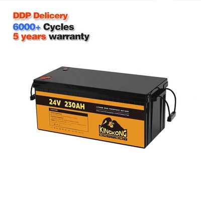 24V 50Ah 60Ah 100Ah 200Ah 230Ah 300Ah 400Ah 460Ah Iron Lithium LifePo4 Baterai Dengan BMS