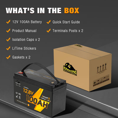 Dikustomisasi Baterai Lifepo4 Baterai 12V 24V 36V 48V 60V Volt Lithium Ion Baterai Pack Untuk Boat RV Camper Car