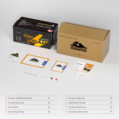 Deep Cycle Lifepo4 Lithium Ion Baterai