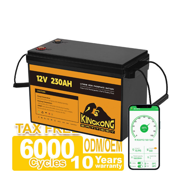 Power Tools OEM ODM 12.8V 100ah 200ah 300ah Lithium Battery Pack 12V Dengan Kontrol APP