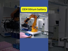 Baterai Lithium OEM