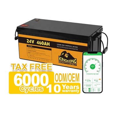 24V 50Ah 60Ah 100Ah 200Ah 230Ah 300Ah 400Ah 460Ah Iron Lithium LifePo4 Baterai Dengan BMS