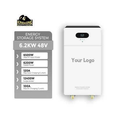 3.6KW Dual Output Monocrystalline Silicon Solar Inverter dengan Baterai Lithium 24V 100Ah